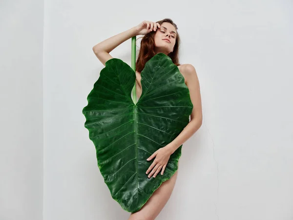 Atractiva mujer pelirroja con el cuerpo desnudo y cubierta con hojas de palma fondo claro —  Fotos de Stock