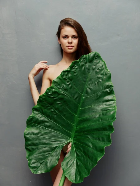 Ładna kobieta z zielonym liściem przykryć na odosobnionym tle — Zdjęcie stockowe