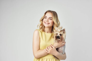 Sarışın, modaya uygun, safkan köpek kesimi moda.