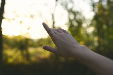 Kadın eli doğadan yaz romantizmine Temiz hava