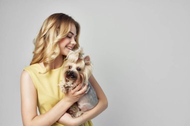 Sarışın, modaya uygun safkan köpek ışık arka plan stüdyosu