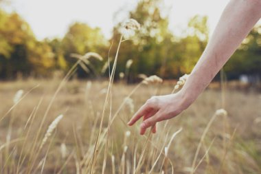 Dişi el çimi tarlası taze hava eker
