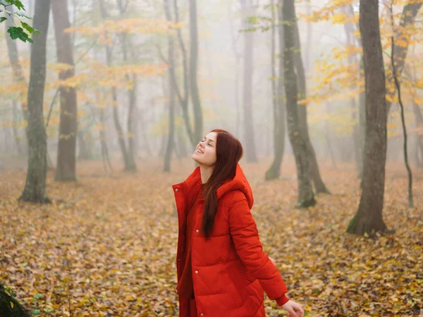 Woman in red jacket autumn forest nature walk lifestyle — Stock Photo, Image