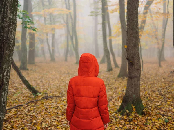 Femme en veste rouge automne feuilles arbres marcher brouillard — Photo