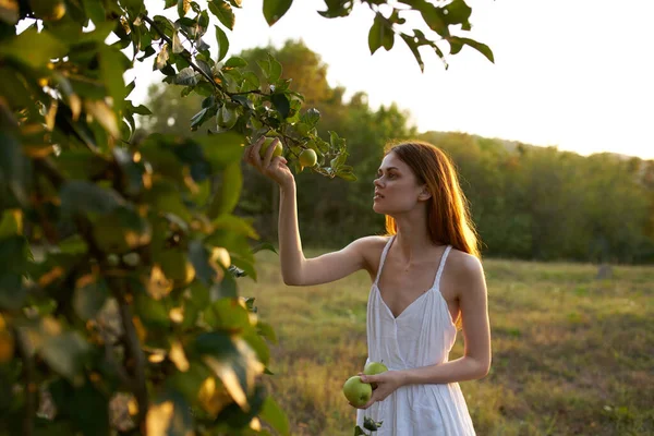 Donna allegra in un vestito bianco su mele di natura — Foto Stock