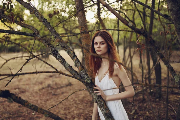 Beyaz elbiseli kadın yaz ormanlarında yürüyor. — Stok fotoğraf