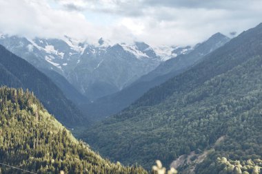 Dağlar vadi ormanı kar zirveleri dramatik bulutlu gökyüzü manzarası altında
