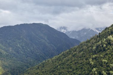 Yoğun ormanları ve bulutlu gökyüzü altında süpürülen tepeleri olan görkemli dağ manzarası, doğa, seyahat ve açık hava kullanımı için ideal..