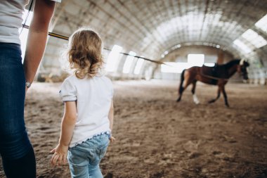 Küçük bir at türünün yürüyüşü. 