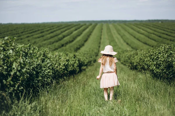 Liten Flicka Hatt Går Grön Äng Sommaren Bakifrån — Stockfoto