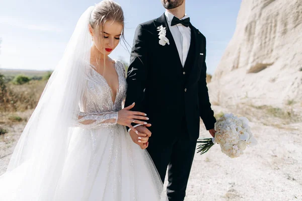 Retrato Los Recién Casados Sostén Mano Novia Novio Vestido Lujo —  Fotos de Stock