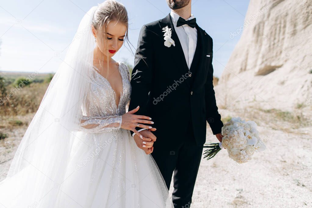 Portrait of the newlyweds. Hold the hand. Bride and groom in luxury dress near rocks on wedding day