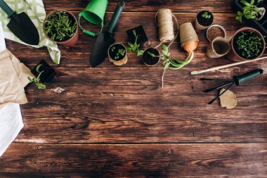 Ev aletlerinin önünde fidanlar filizleniyordu. Bahçıvanlık. Kızların elleri ve küçük filizler. 