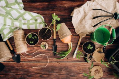 Ev aletlerinin önünde fidanlar filizleniyordu. Bahçıvanlık. Kızların elleri ve küçük filizler. 