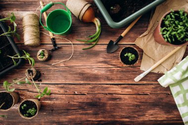 Ev aletlerinin önünde fidanlar filizleniyordu. Bahçıvanlık. Kızların elleri ve küçük filizler. 