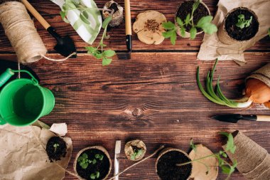 Ev aletlerinin önünde fidanlar filizleniyordu. Bahçıvanlık. Kızların elleri ve küçük filizler. 