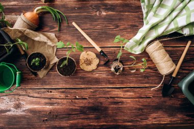 Ev aletlerinin önünde fidanlar filizleniyordu. Bahçıvanlık. Kızların elleri ve küçük filizler. 