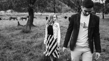 Yakışıklı bir adam ve sarışın bir kız nehir ve ormanın yakınındaki çimlerde yürüyorlar. İnekler ve atlarla otlağın arka planında el ele tutuşup gülümsüyorlar.