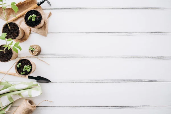 Concepto Comida Orgánica Saludable Brotes Verduras Planas Macetas Con Herramientas — Foto de Stock