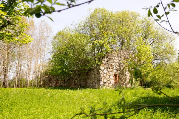 Zvarde Letonia. Aldea abandonada. —  Fotos de Stock