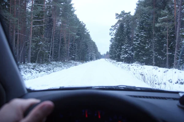 Winter Driving. Driving troughs forest.