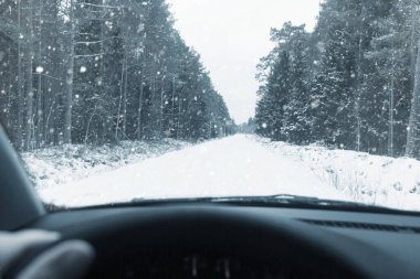 Kış Gezisi. Ormanı boydan boya geçmek..