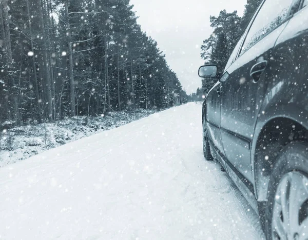 Winter Driving. Driving troughs forest.