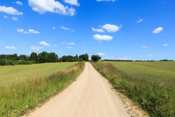 Sommer Landschaft Blick. — Stockfoto