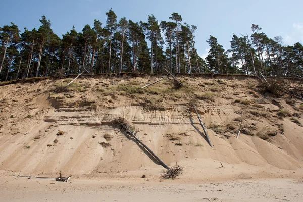 Узбережжя Балтійського моря — стокове фото