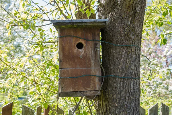 Bird house — Stock Photo, Image