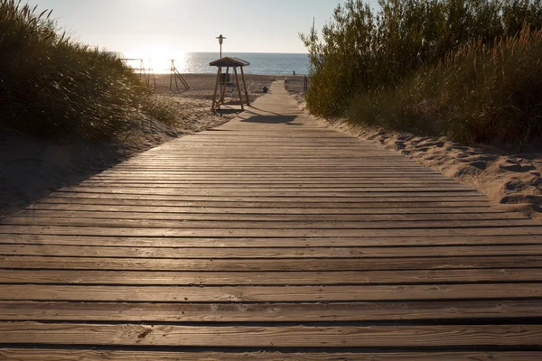 Strand wandelpad — Stockfoto