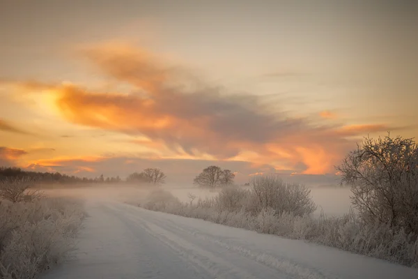 Camino escénico de invierno — Foto de Stock