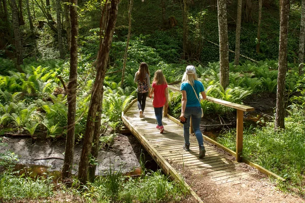 Passeggiate nella foresta — Foto Stock