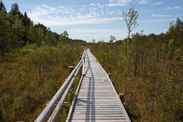 Chemin de planche en bois — Photo