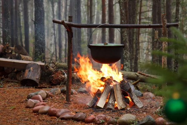 Boiling in the forest — Stock Photo, Image