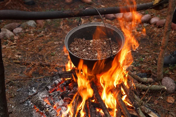 Cooking a meal in the forest — Stock Photo, Image