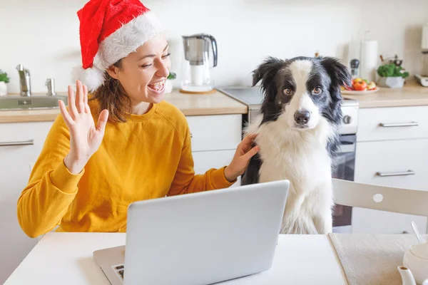 Hund Und Frau Mit Weihnachtsmütze Schwenken Handvideo Dem Familie Webcam — Stockfoto