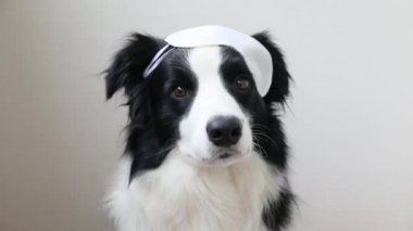 Beni rahatsız etme, bırak uyuyayım. Beyaz arka planda izole edilmiş uyuyan göz maskeli komik, sevimli, gülen köpek yavrusu sınır köpeği çoban köpeği. Dinlen, iyi geceler, siesta, uykusuzluk, rahatlama, yorgunluk, seyahat konsepti