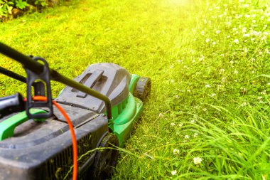Bahçede çim biçme makinesiyle çim biçen bir adam. Bahçe işleri kırsal yaşam tarzı. Güneş ışığında taze yeşil çimlerin manzarası baharda ya da yaz mevsiminde bahçe manzarası