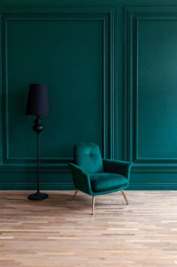 Güzel, lüks, mavi, temiz, temiz, yeşil koltuklu, klasik tarzda bir oda. Zümrüt duvarın yanında duran antika mavi-yeşil sandalye. Minimalist ev tasarımı