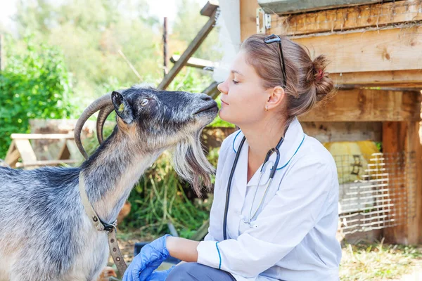 Ung veterinär kvinna med stetoskop innehav och undersöka get på ranch bakgrund. Ung get med veterinär händer för kontroll i naturliga eko gård. Begreppet ekologiskt jordbruk inom djurskötsel. — Stockfoto