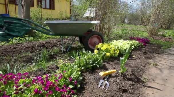Virágágyás Virágokkal Kertészfelszereléssel Talicskakocsi Kertben Nyáron Mezőgazdasági Munkások Készen Állnak — Stock videók
