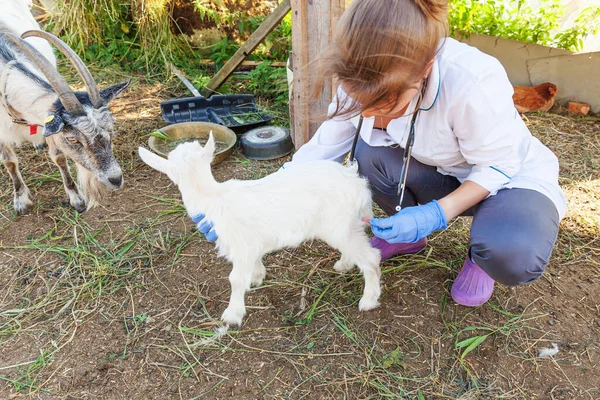 Veterinär Kvinna Med Spruta Hålla Och Injicera Get Unge Ranch — Stockfoto