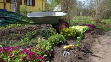 Bahçede çiçeklerle ve bahçe malzemeleriyle dolu el arabası olan bir bahçe arabası. Çiftlik işçisi aletleri tohum ya da çiçek ekmeye hazır. Bahçe ve tarım kavramı