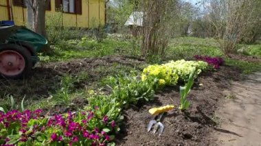 Bahçede çiçeklerle ve bahçe malzemeleriyle dolu el arabası olan bir bahçe arabası. Çiftlik işçisi aletleri tohum ya da çiçek ekmeye hazır. Bahçe ve tarım kavramı.