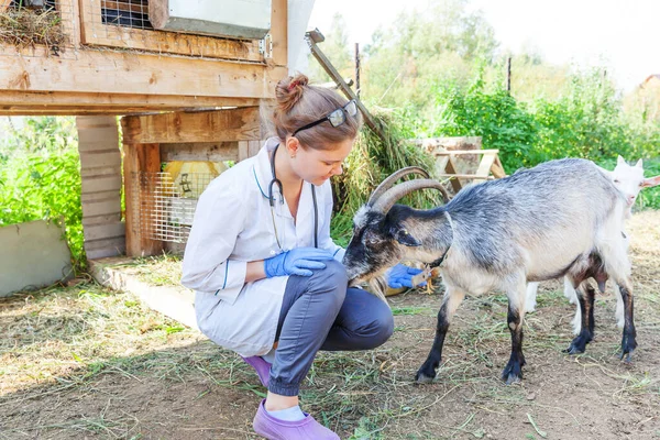 Young veterinarian woman with stethoscope holding and examining goat on ranch background. Young goat with vet hands for check up in natural eco farm. Animal care livestock ecological farming concept