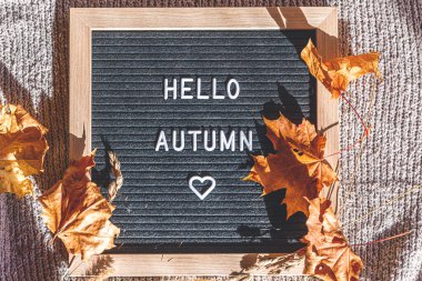 Sonbahar Arkaplanı. İçinde Hello Autumn yazan siyah mektup tahtası ve beyaz örgü süveterin üzerinde kurumuş yapraklar var. En üstteki düz yerde. Şükran Günü afişi. Hygge soğuk hava konsepti