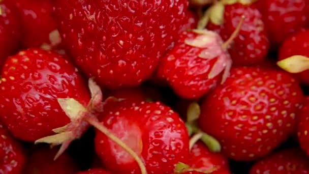 붉은 딸기는 매크로를 아주 가까이 서 회전시킨다. 여름에는 붉은 딸기를 먹는다. 신선 한 베리 더미의 느린 회전. 건강에 좋은 유기농 디저트, 채식주의자 음식 개념. — 비디오