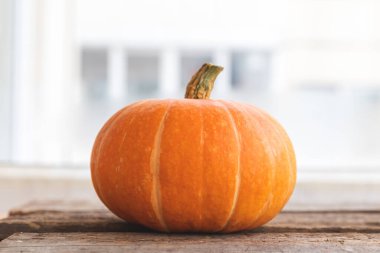 Sonbahar Arkaplanı. Ahşap arka planda doğal sonbahar sonbahar manzaralı balkabağı. İlham verici Ekim ya da Eylül duvar kağıdı. Mevsimlerin değişmesi, olgun organik gıda konsepti. Cadılar Bayramı partisi Şükran Günü