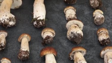 Sonbahar sonbahar kompozisyonu. Yenebilir çiğ mantarlar Penny Bun koyu siyah taştan bir arka planda. Gri masada ağlar. Lezzetli organik mantar gurmesi pişirmek. Düz yatış, üst görünüm